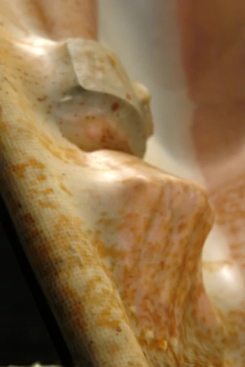 Pornstar Closeup Fetish